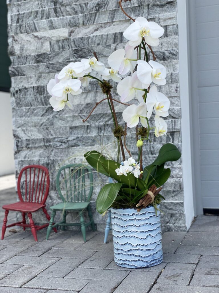 https://vivaflowers.com/
