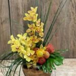 Consejos para el Cuidado de Orquídeas