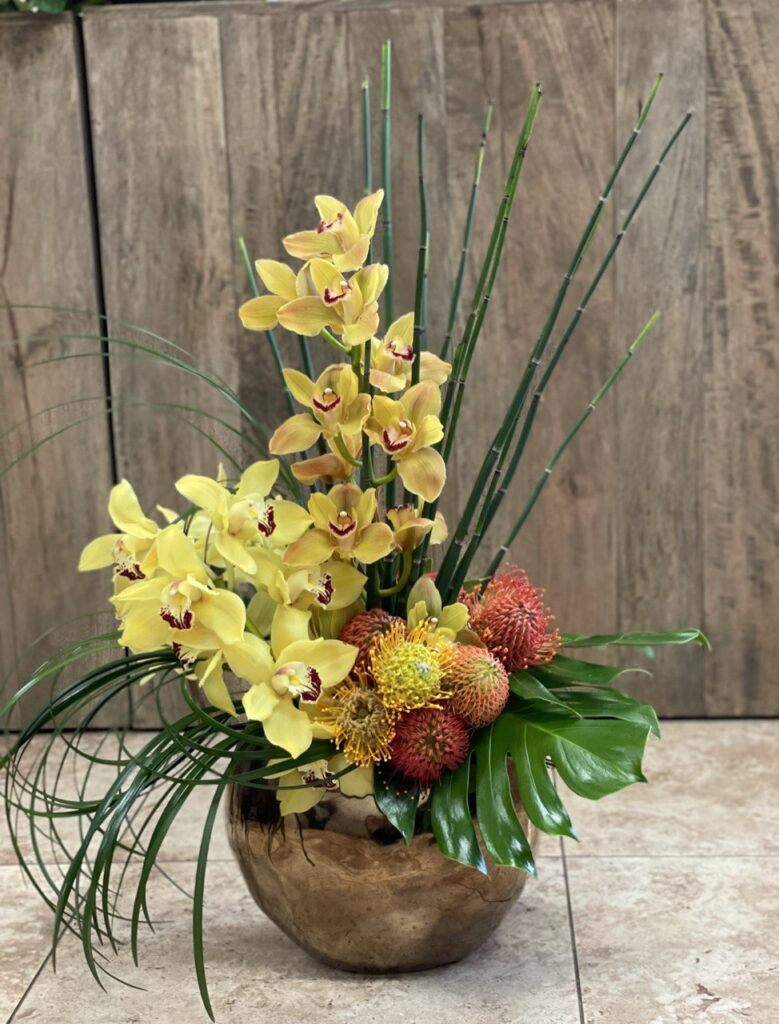 Consejos para el Cuidado de Orquídeas