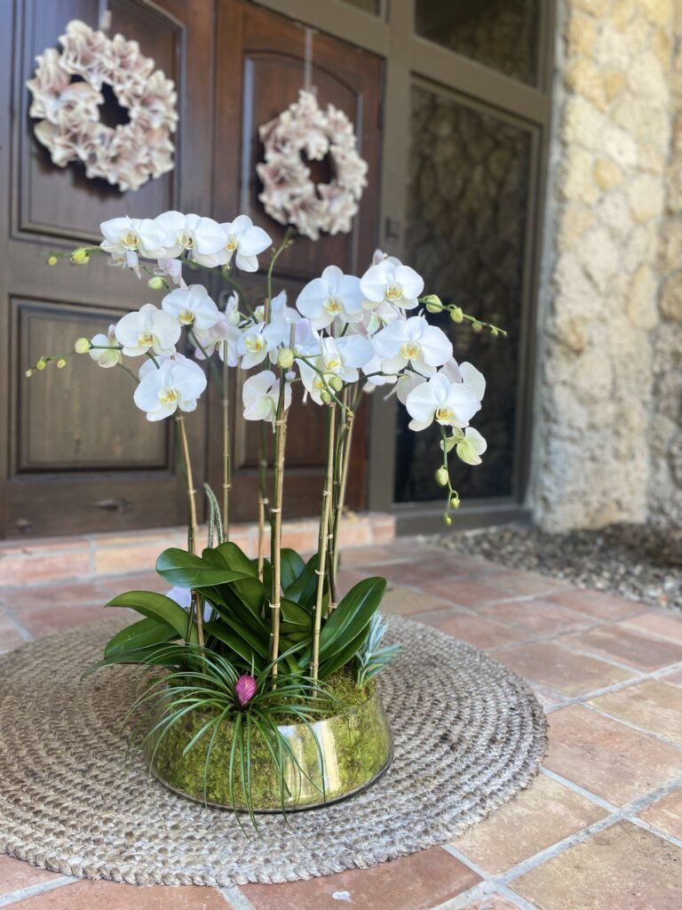 Getting Started with Orchids