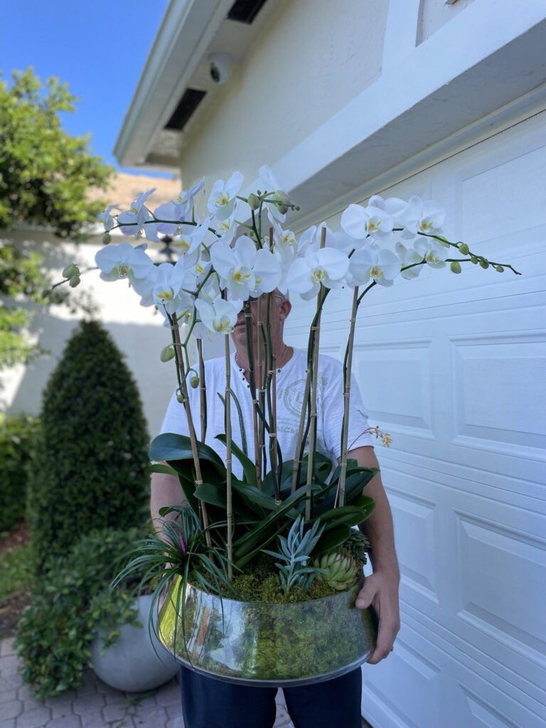 Getting Started with Orchids