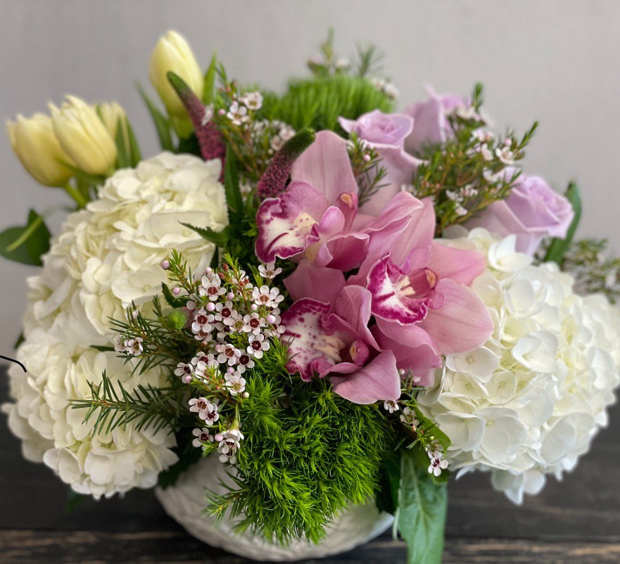 Exploring the Variety of Orchids Available