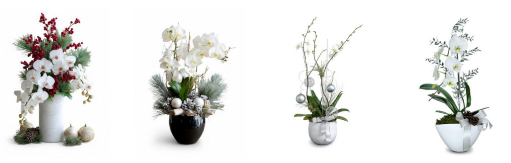 Top 5 Christmas Orchid Arrangements to Brighten Your Holiday Season